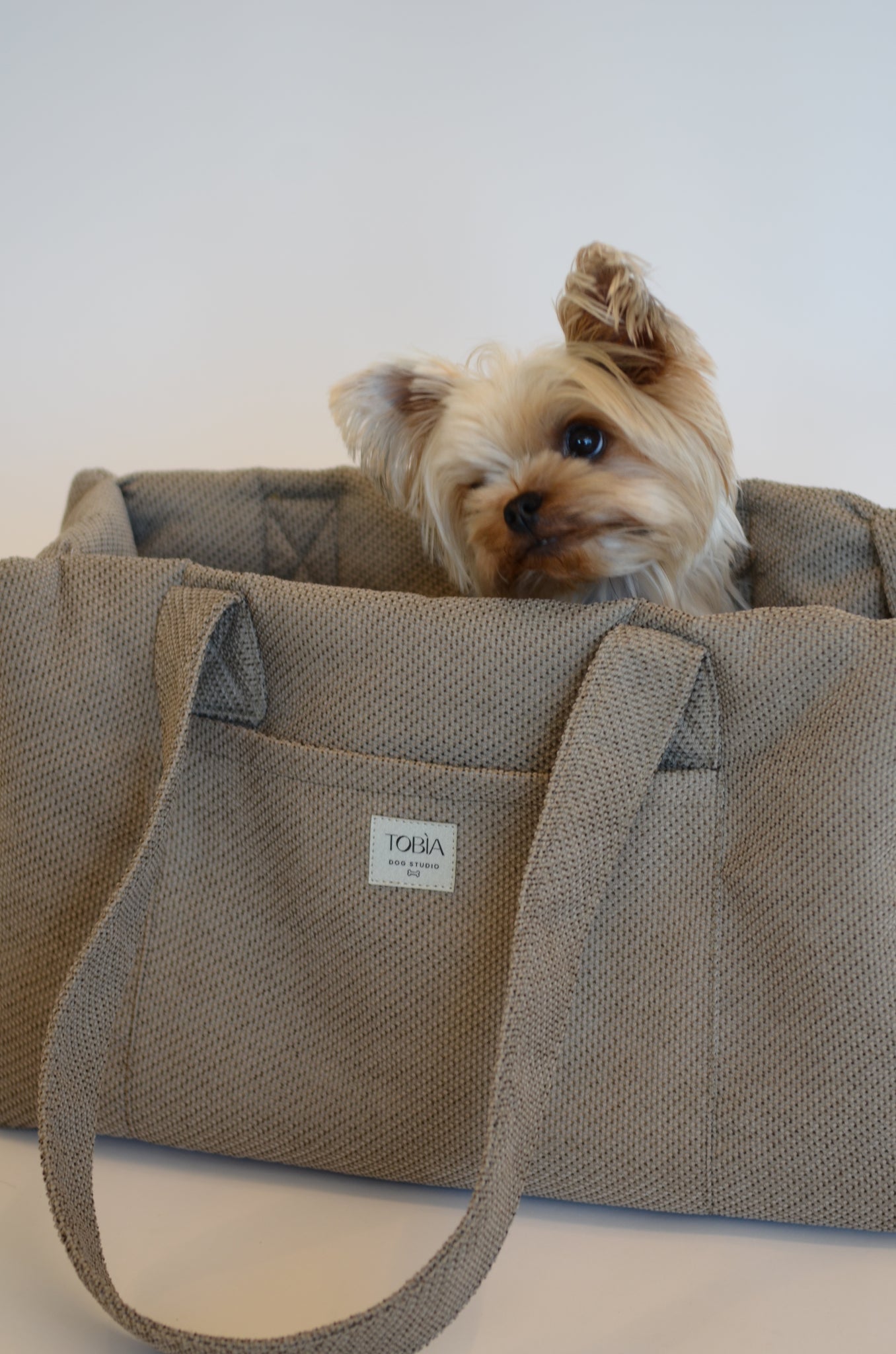 Trasportino Beige