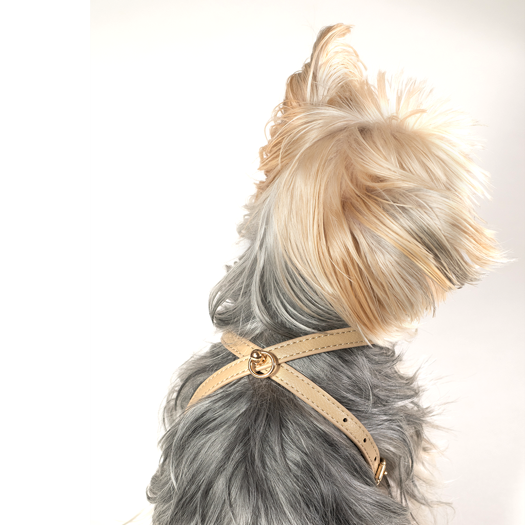 Pettorina Beige (cani piccoli)