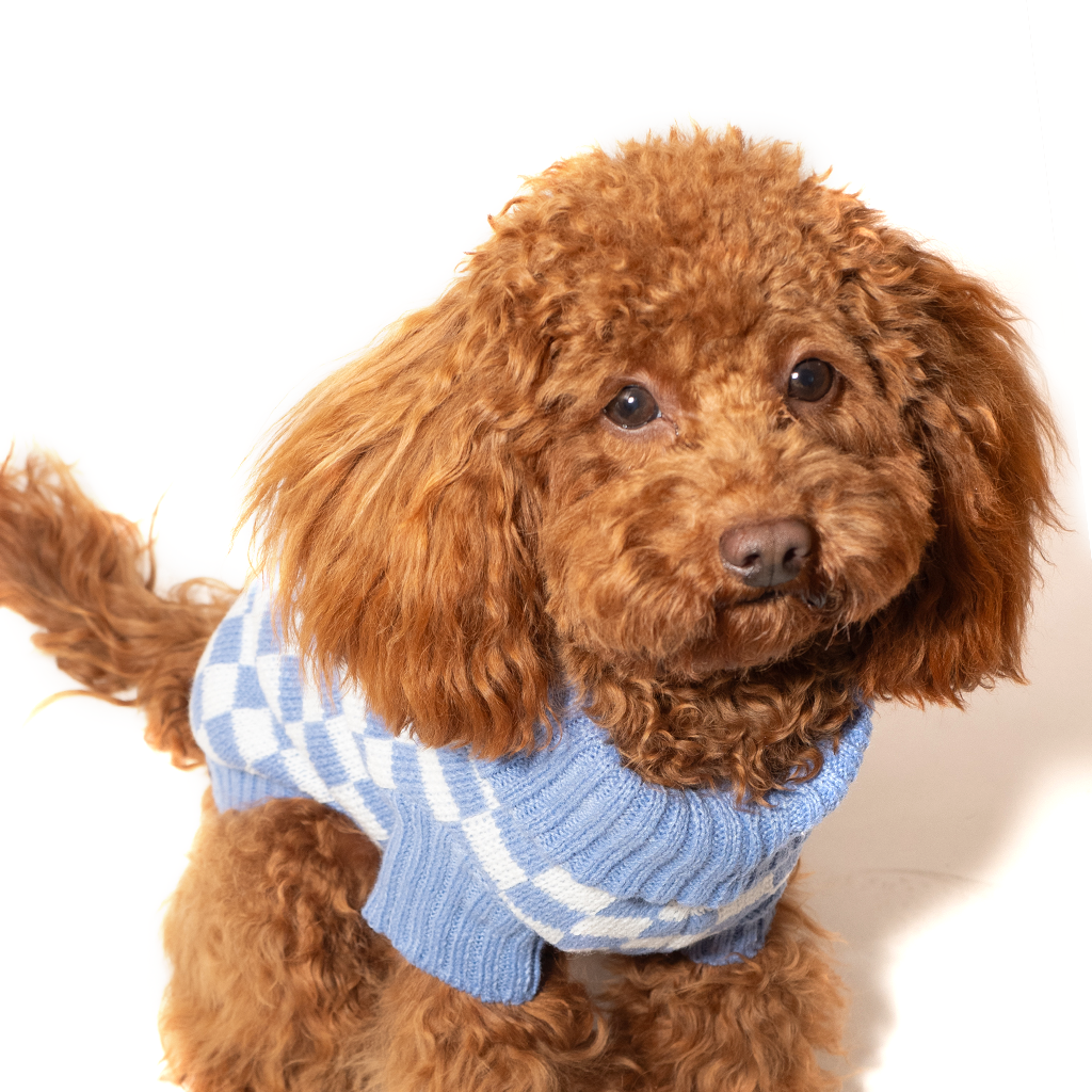 Maglione Quadri