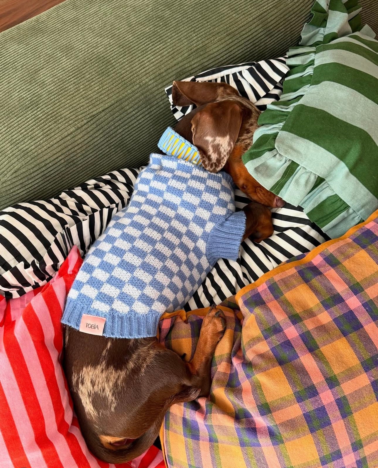 Maglione Quadri