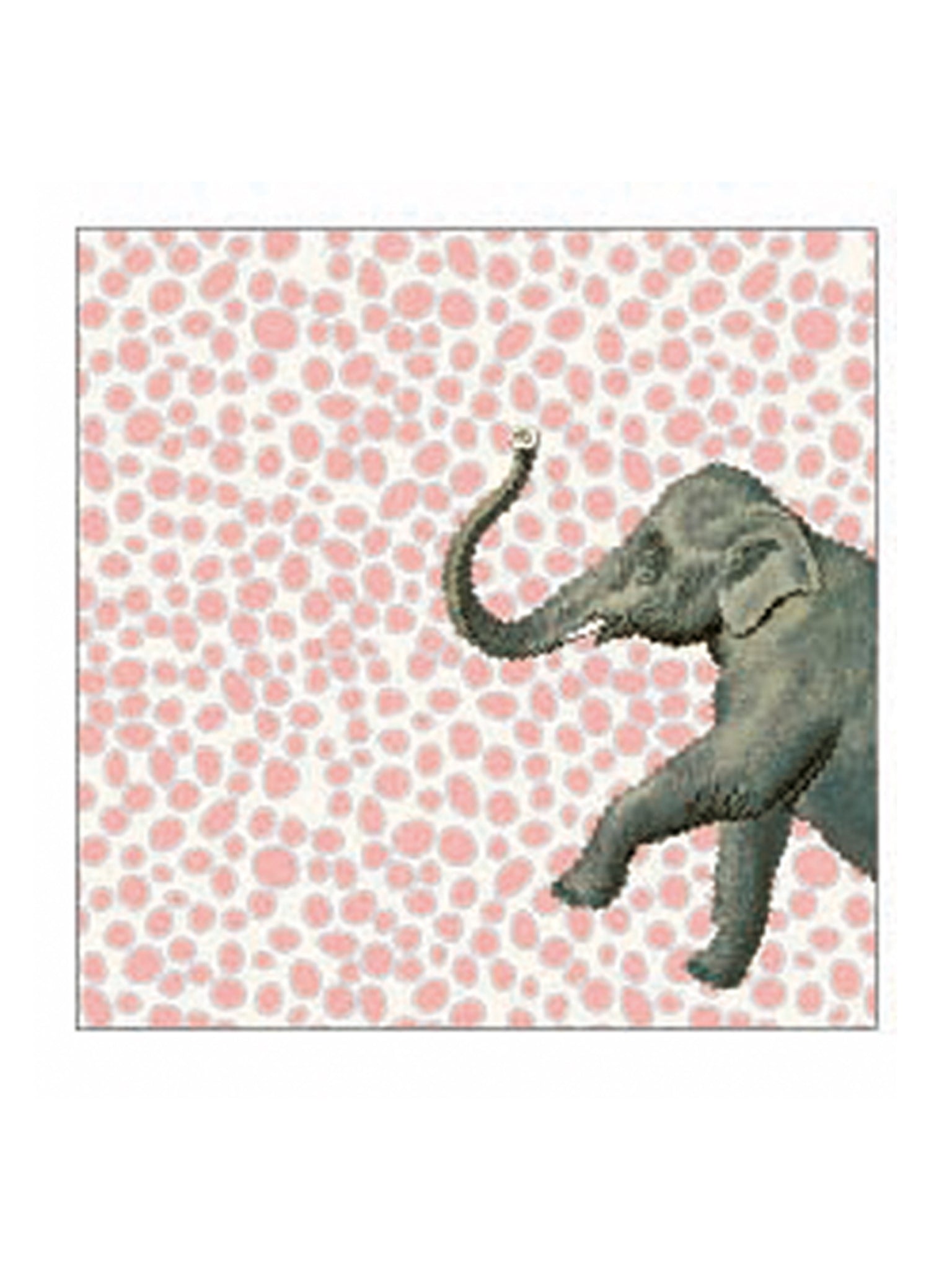 Set 4 sottobicchieri con animali misti