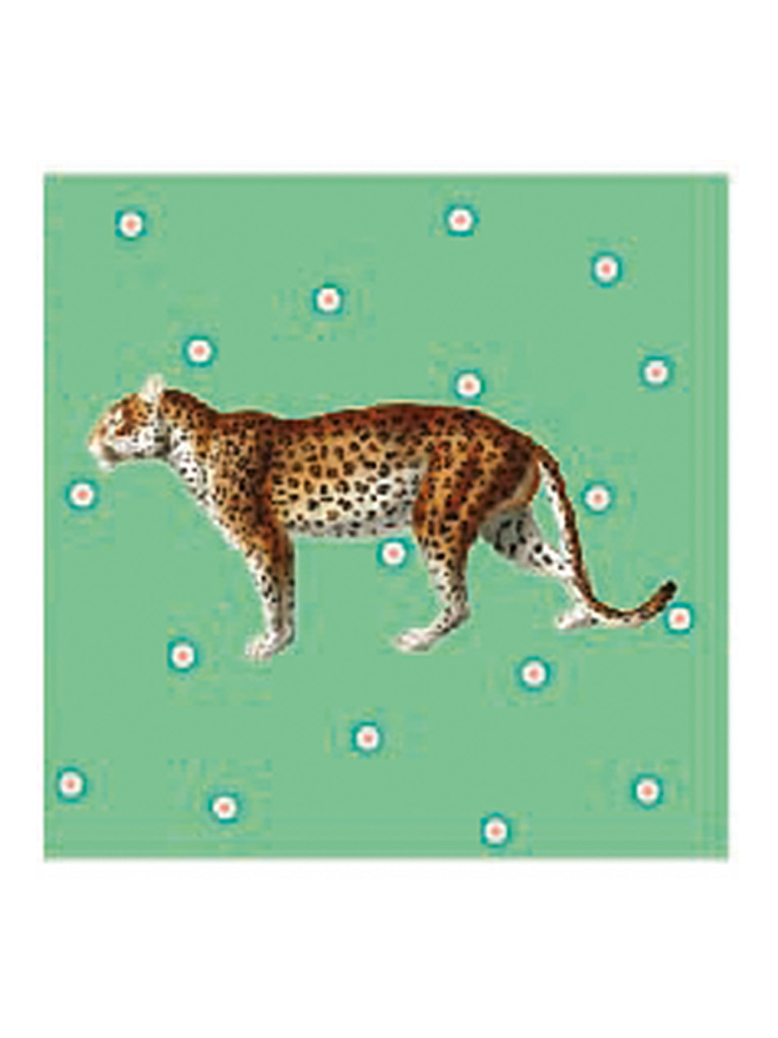 Set 4 sottobicchieri con animali misti