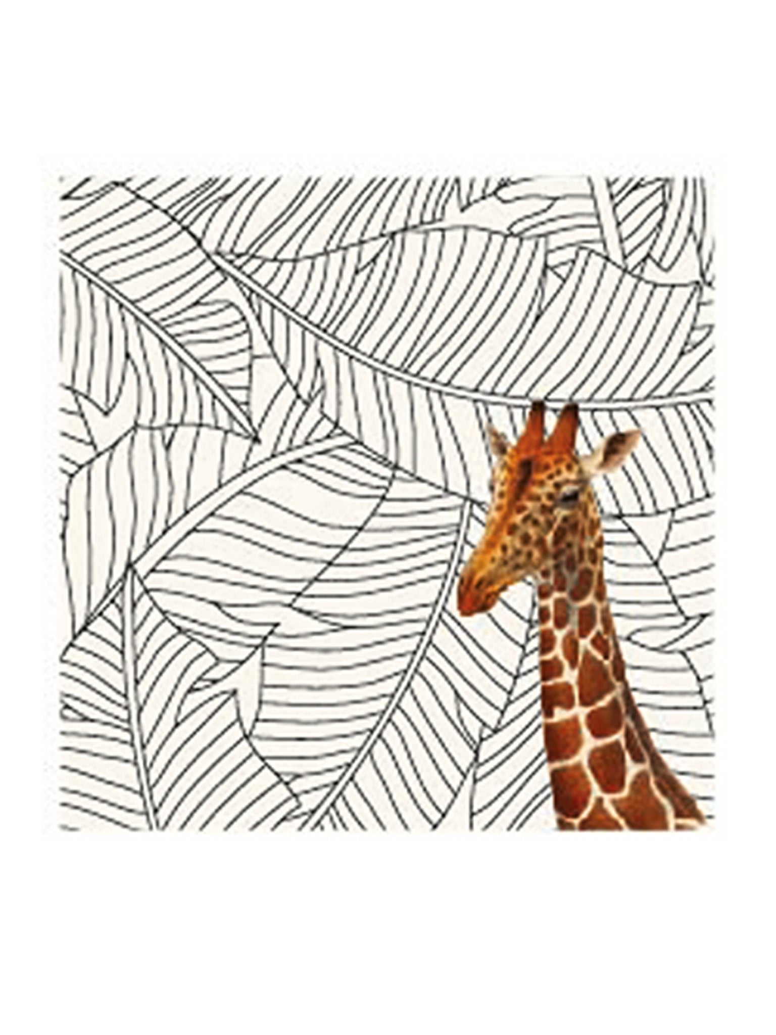 Set 4 sottobicchieri con animali misti