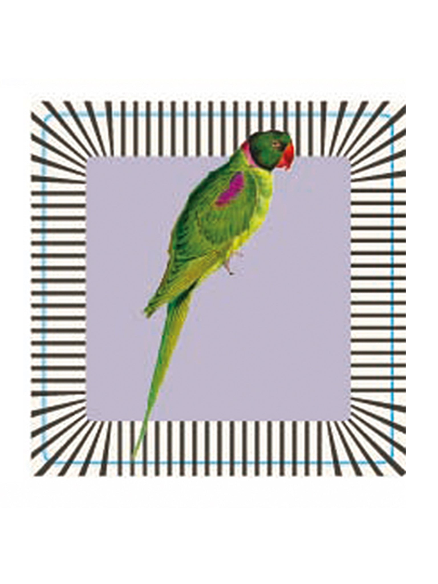 Set 4 sottobicchieri con animali misti
