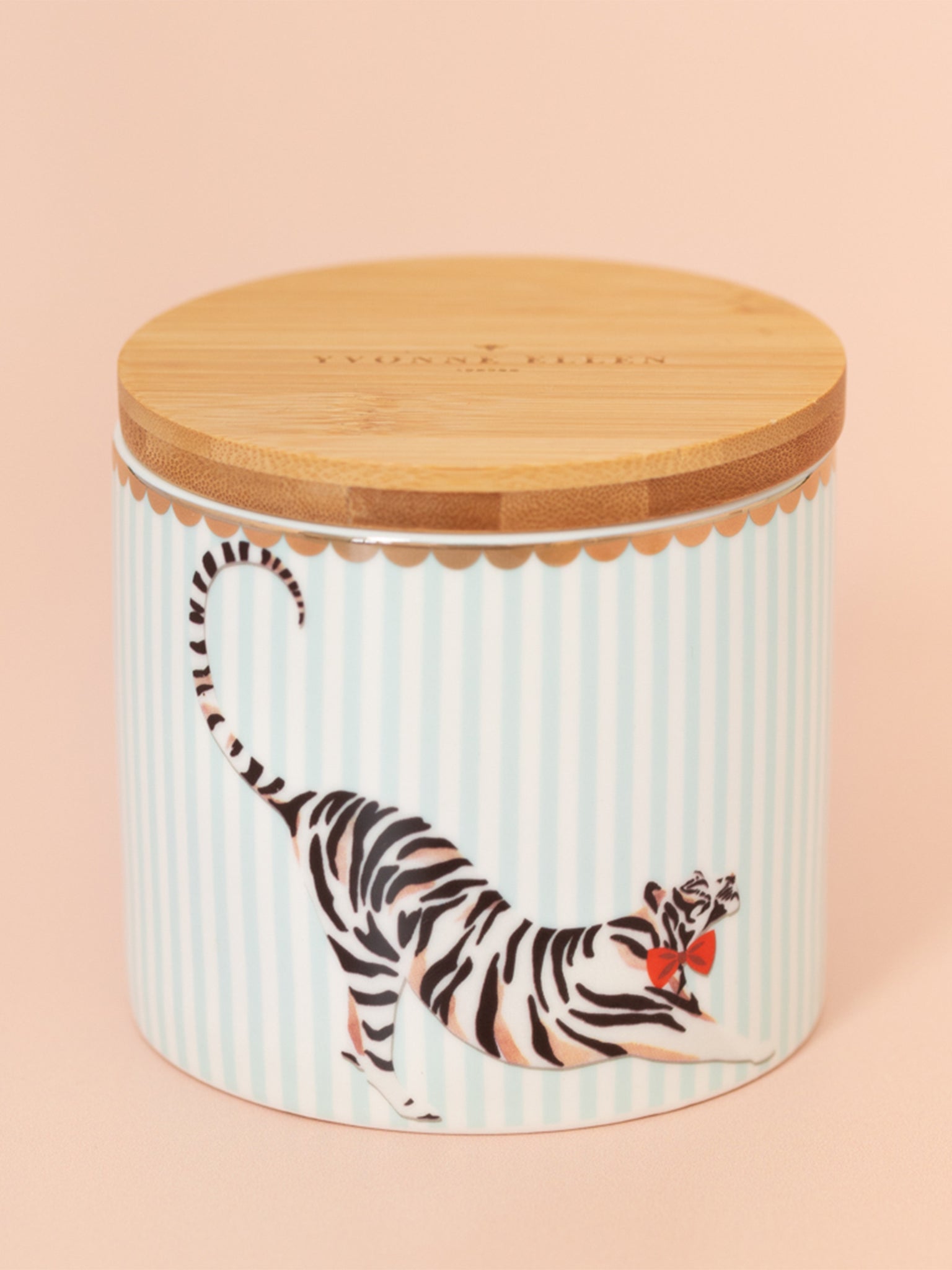 Piccolo barattolo tigre