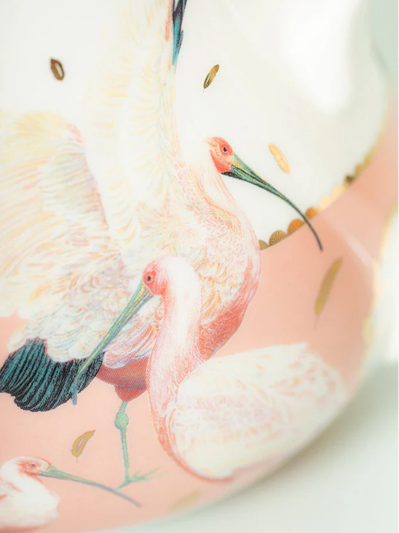 Teiera Ibis