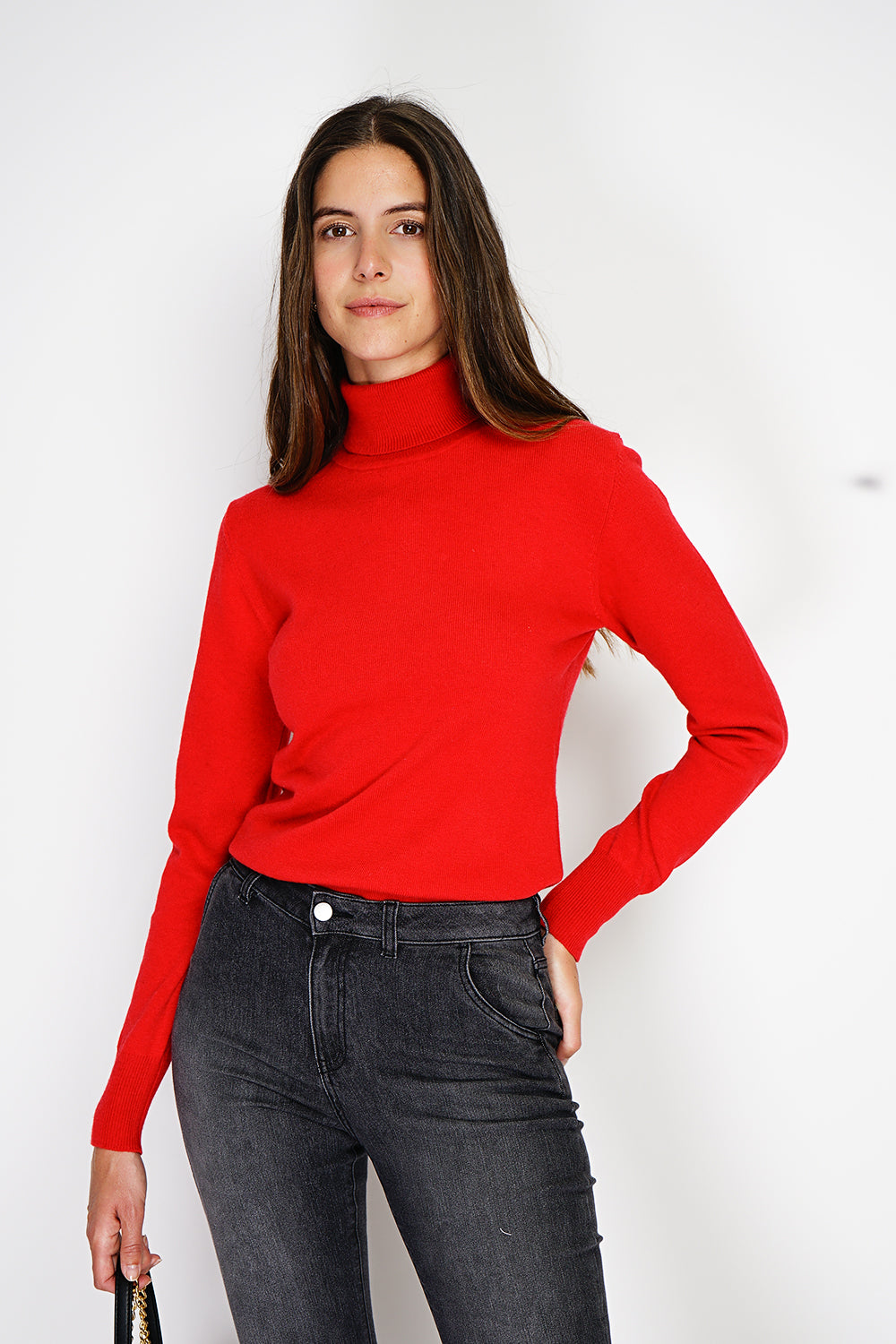 Maglione classico a collo alto, lavorato a maglia con filato a 2 capi, con maniche lunghe - Ermete