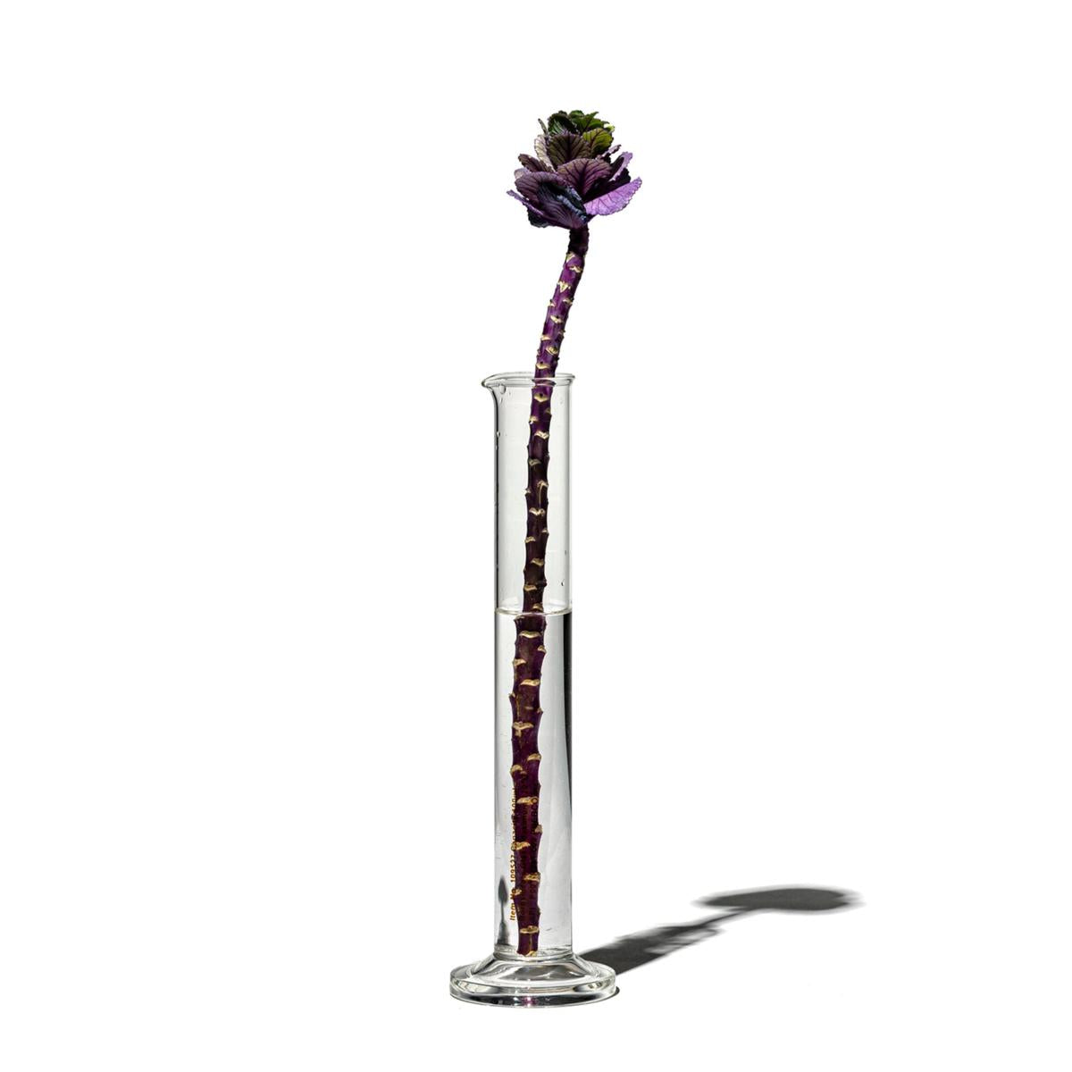 SINGLE FLOWER CASE 100 ML