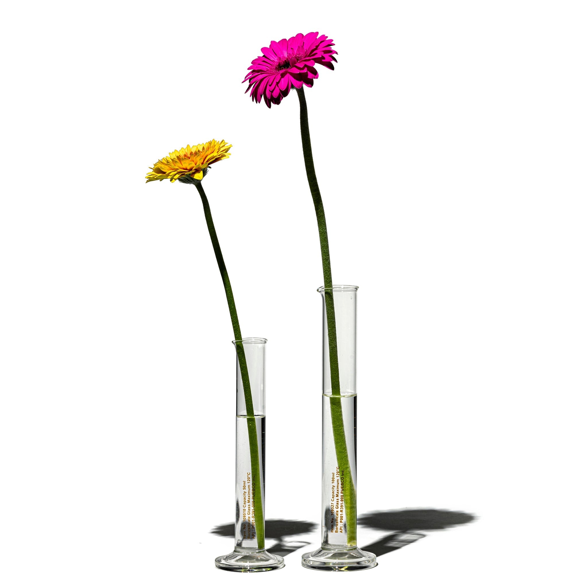 SINGLE FLOWER CASE 100 ML