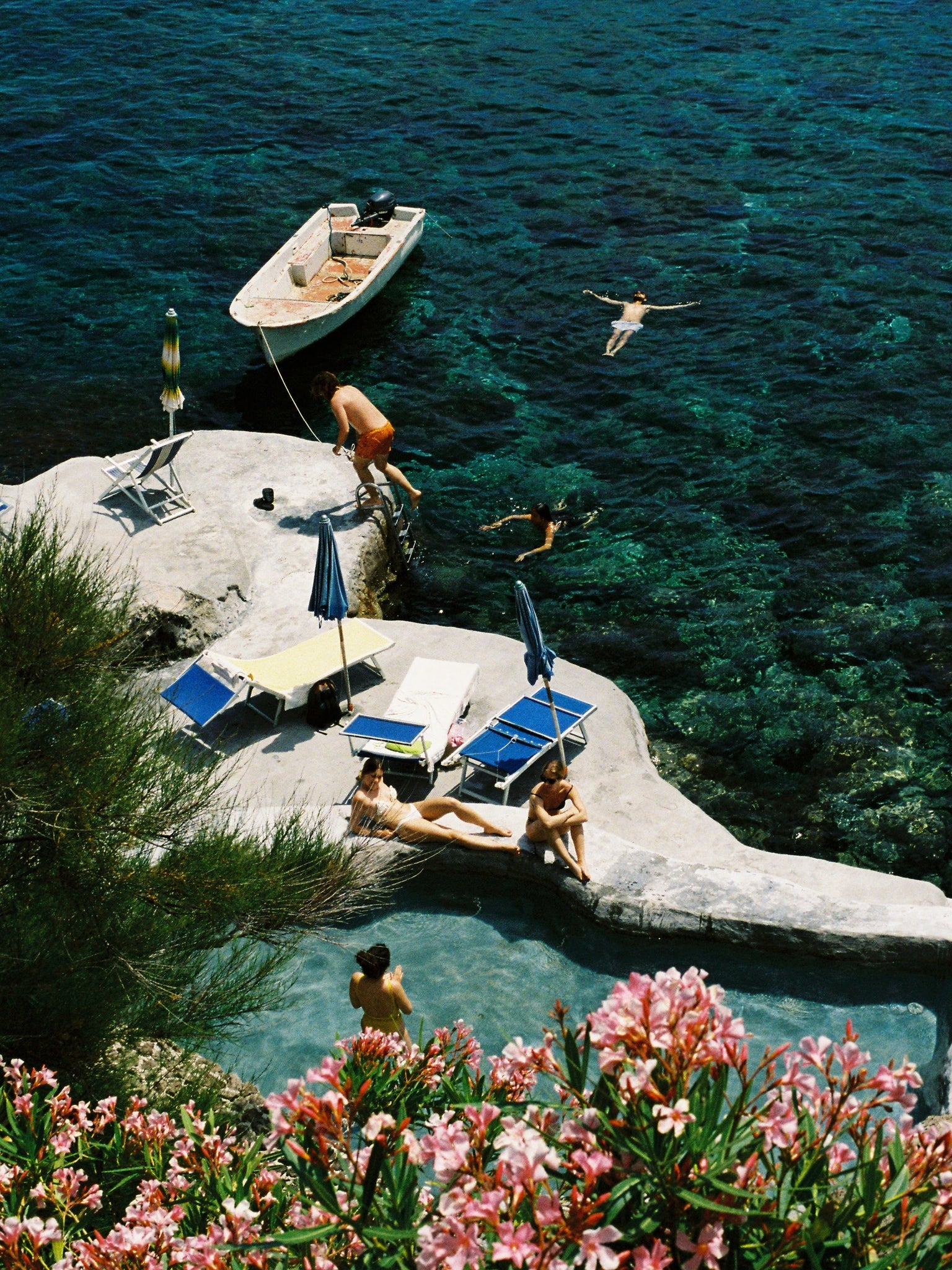 Paradise - by Nicolas Quiniou