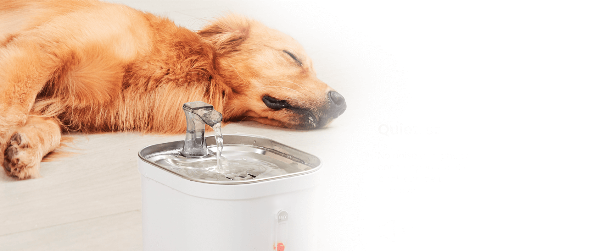 Pet water fountain
