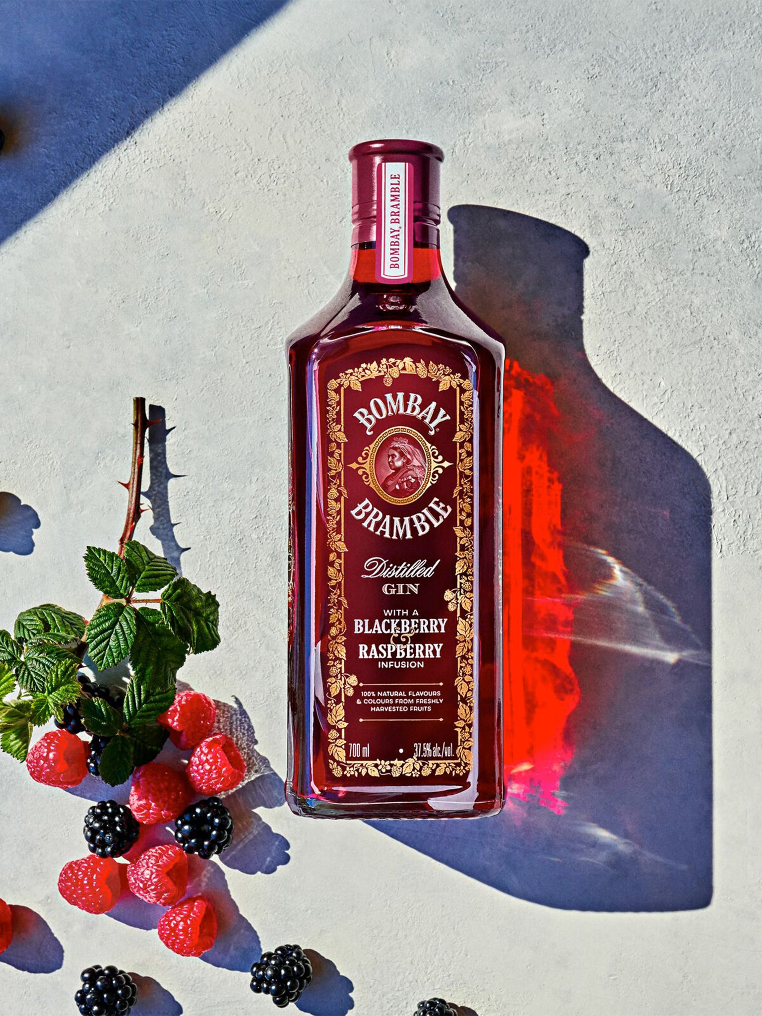 Bramble Gin Discovery Kit